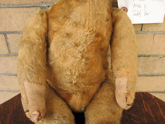 Large  Teddy Bear  |  F122